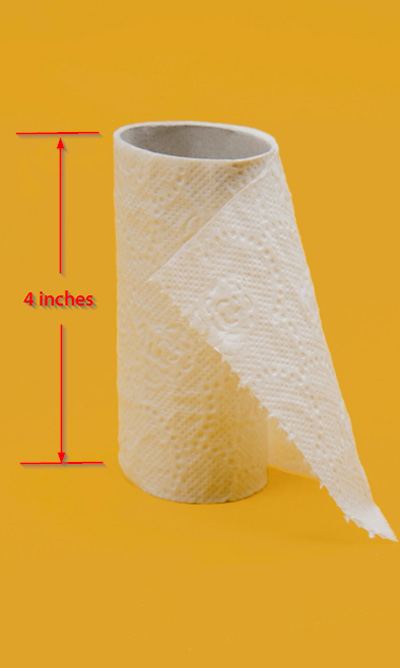 Toilet Paper Roll 