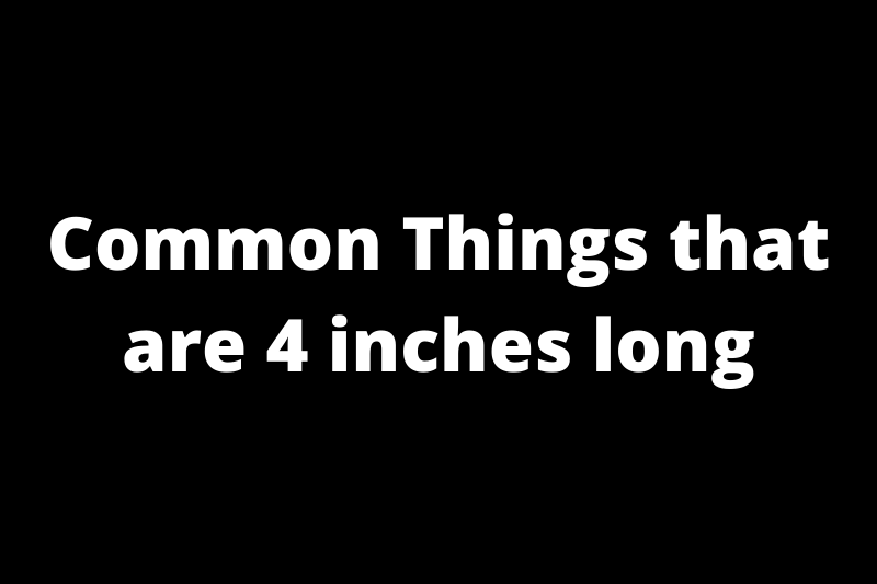 Common Things that are 4 inches long?