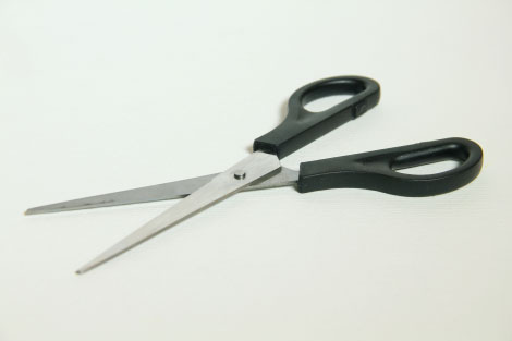 All-Purpose Scissors
