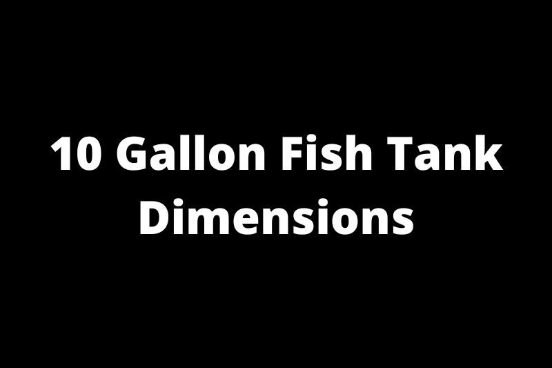 10 Gallon Fish Tank Dimensions