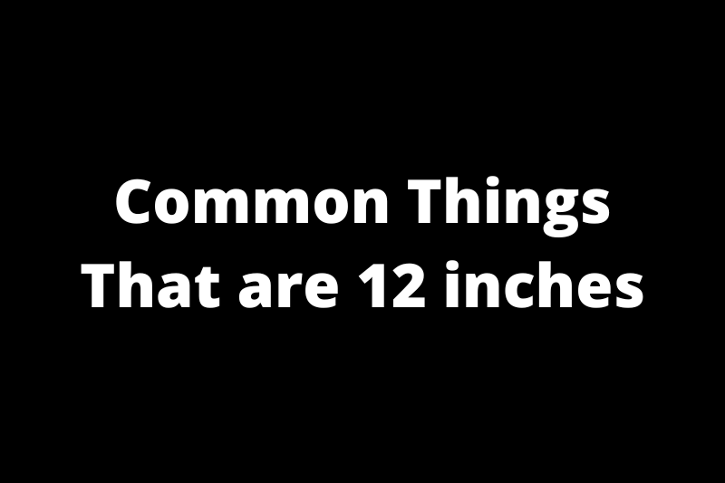 Common Things That are 12 inches