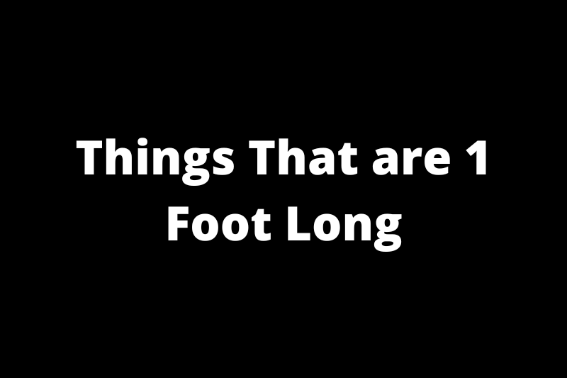 Things That are 1 Foot Long