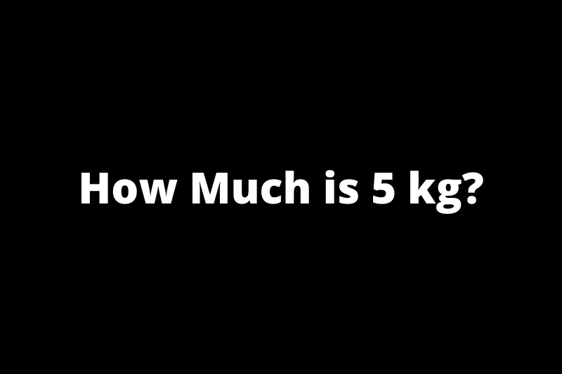 How Much is 5 kg?