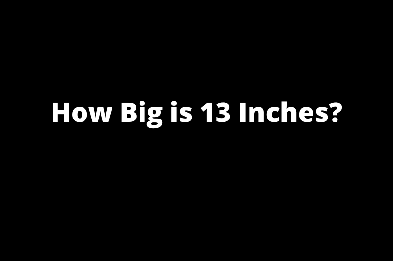 How Big is 13 Inches? 16 Things That Are 14 inches Big