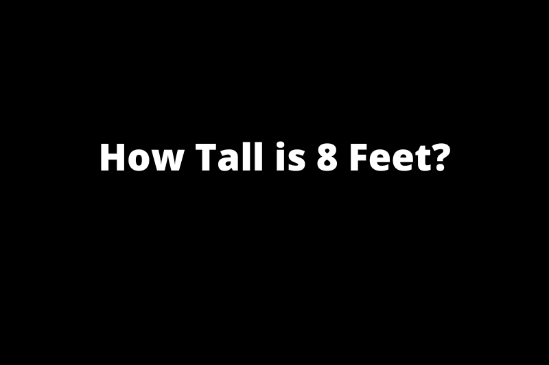 How Tall is 8 Feet Objects That Weight 8'
