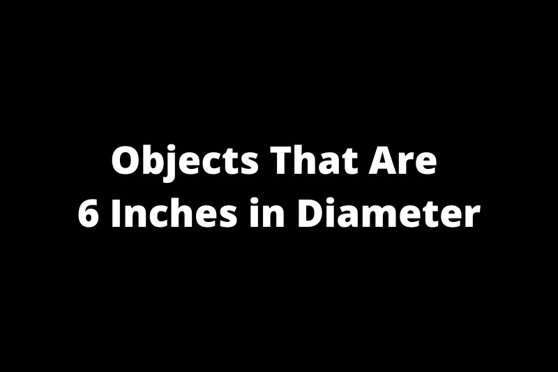 16 Objects that are 6 Inches in Diameter