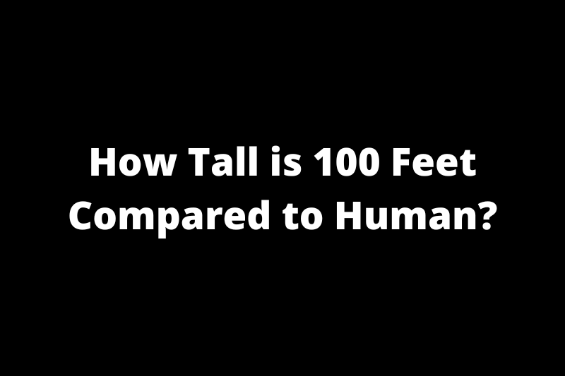How Tall is 100 Feet Compared to Human?